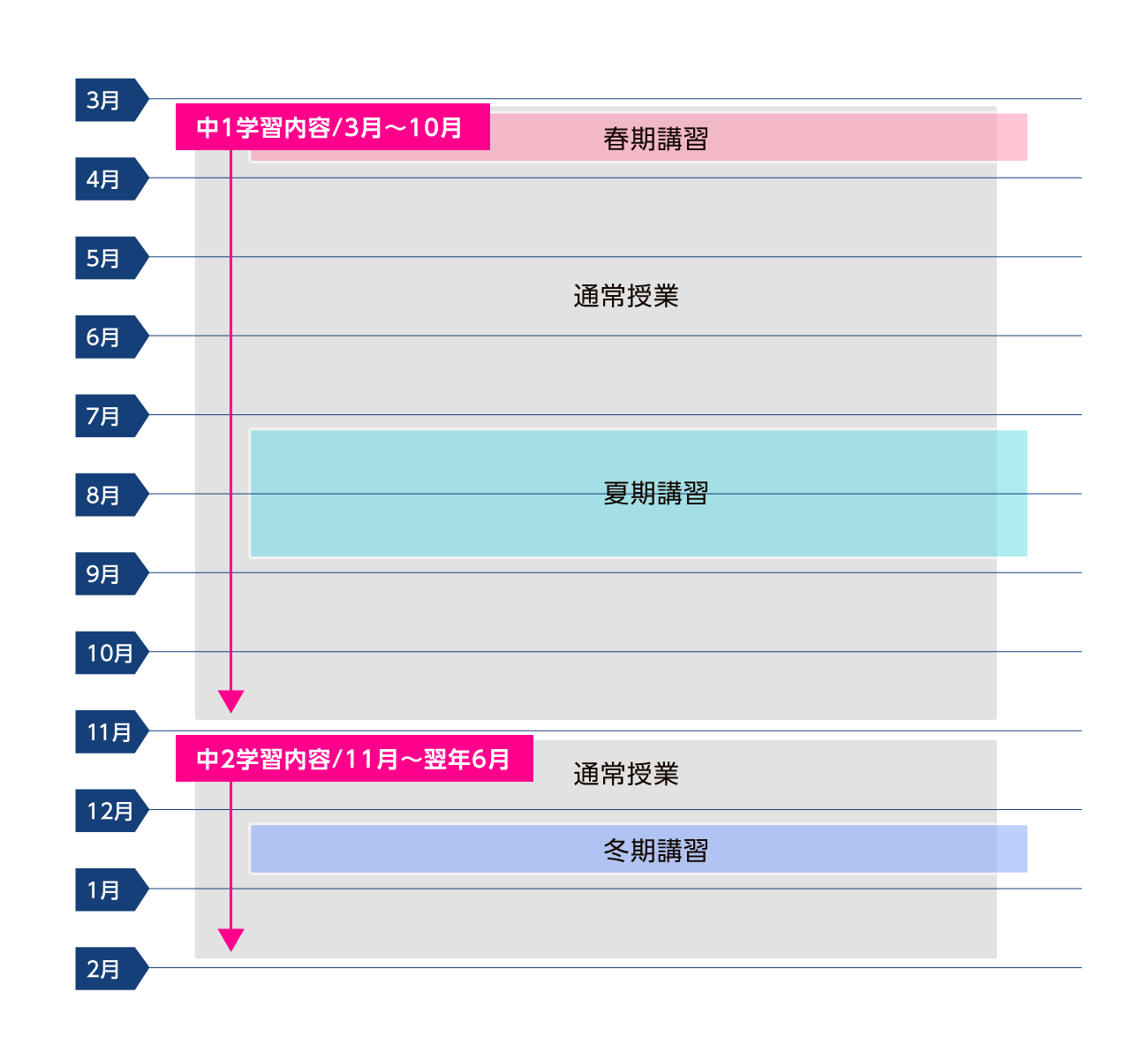年間スケジュール