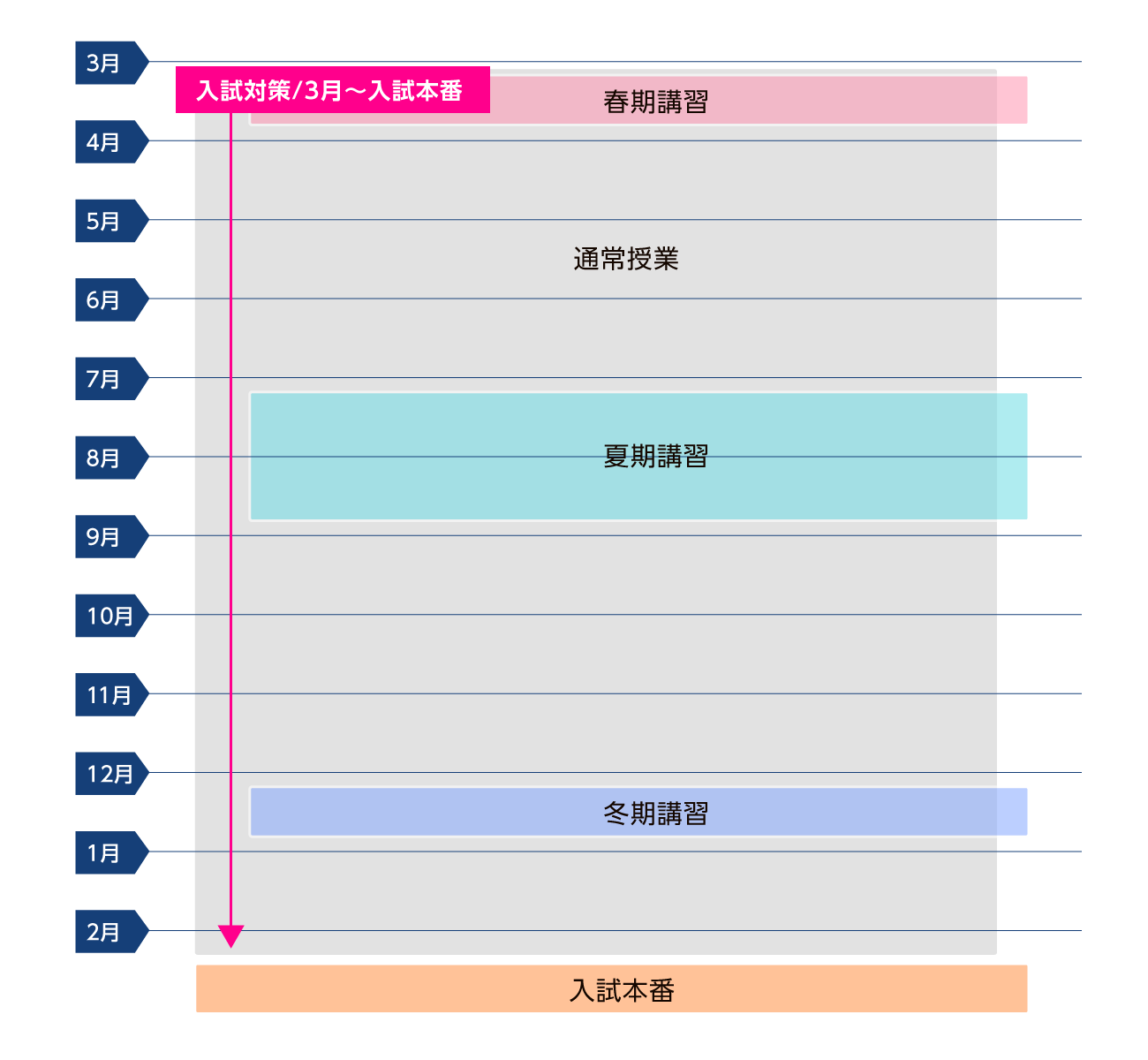 年間スケジュール