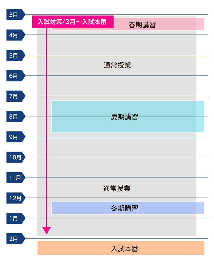 年間スケジュール